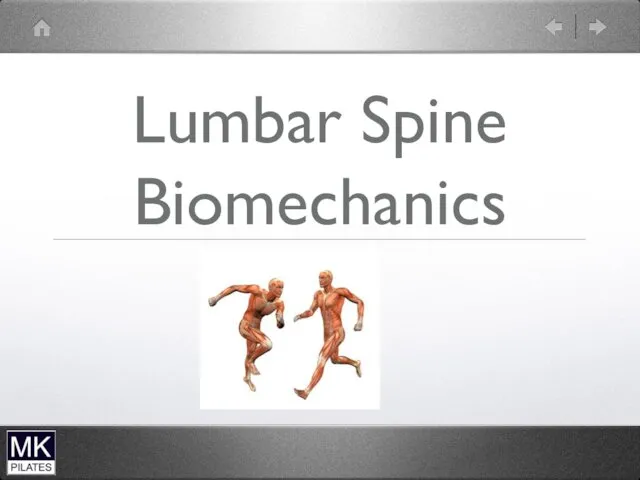 Lumbar Spine Biomechanics