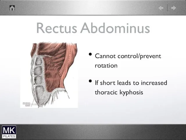 Rectus Abdominus Cannot control/prevent rotation If short leads to increased thoracic kyphosis