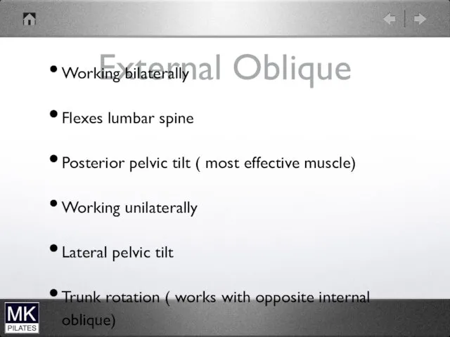 External Oblique Working bilaterally Flexes lumbar spine Posterior pelvic tilt