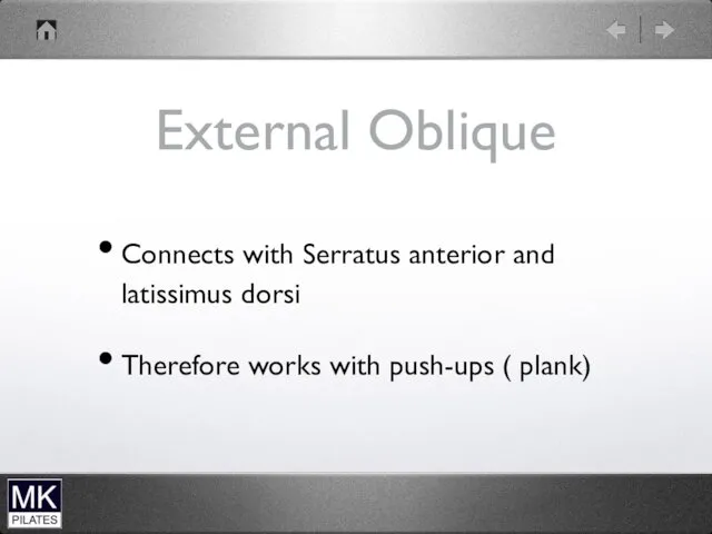 External Oblique Connects with Serratus anterior and latissimus dorsi Therefore works with push-ups ( plank)