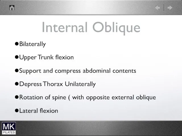 Internal Oblique Bilaterally Upper Trunk flexion Support and compress abdominal