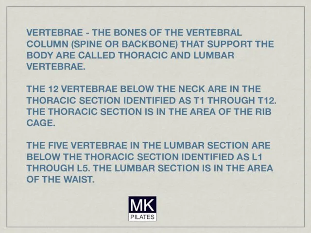 VERTEBRAE - THE BONES OF THE VERTEBRAL COLUMN (SPINE OR