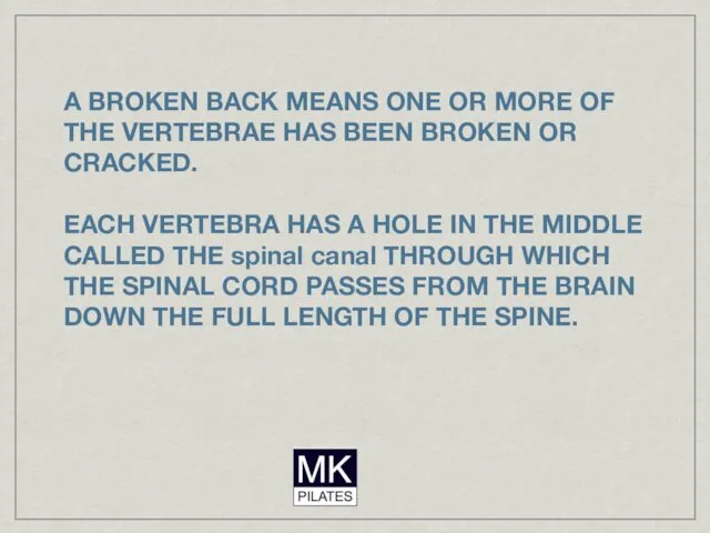 A BROKEN BACK MEANS ONE OR MORE OF THE VERTEBRAE