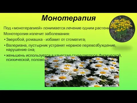 Монотерапия Под «монотерапией» понимается лечение одним растением. Монотеропия излечит заболевания: