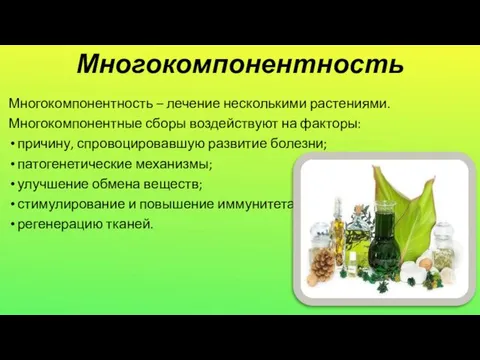 Многокомпонентность Многокомпонентность – лечение несколькими растениями. Многокомпонентные сборы воздействуют на