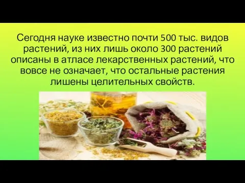 Сегодня науке известно почти 500 тыс. видов растений, из них