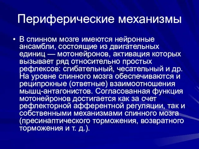 Периферические механизмы В спинном мозге имеются нейронные ансамбли, состоящие из