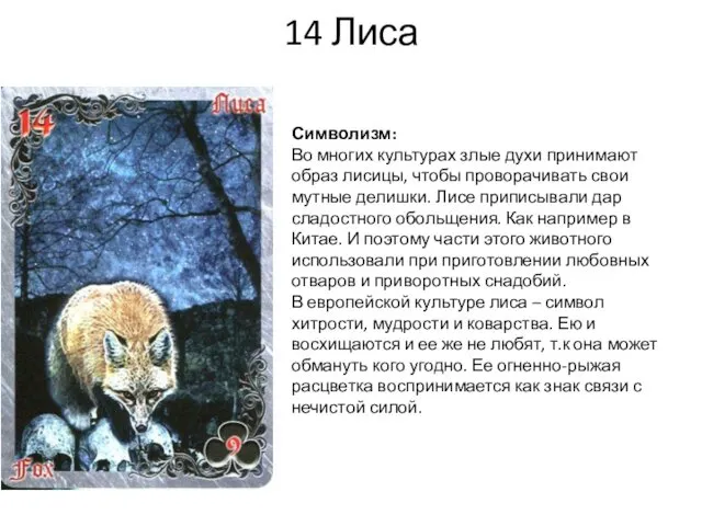14 Лиса Символизм: Во многих культурах злые духи принимают образ лисицы, чтобы проворачивать