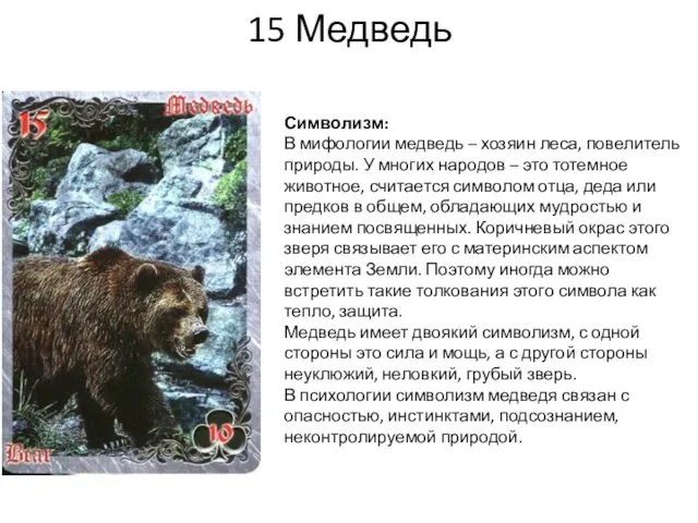 15 Медведь Символизм: В мифологии медведь – хозяин леса, повелитель природы. У многих