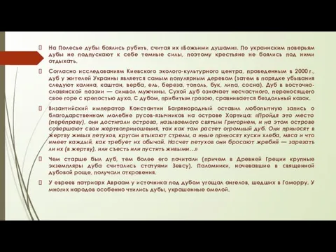 На Полесье дубы боялись рубить, считая их «Божьими душами». По