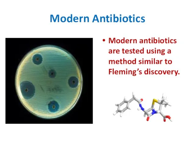 Modern Antibiotics Modern antibiotics are tested using a method similar to Fleming’s discovery.