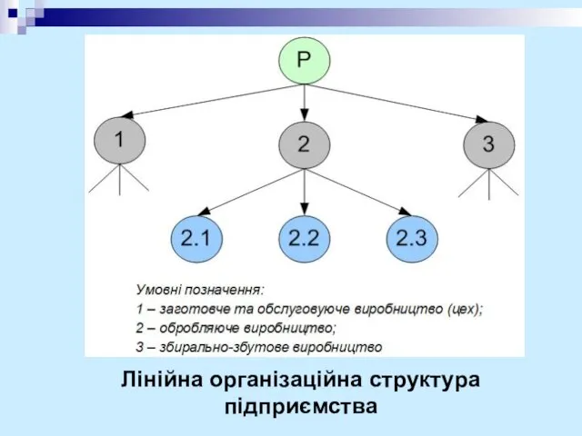Лінійна організаційна структура підприємства
