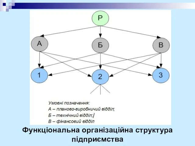 Функціональна організаційна структура підприємства