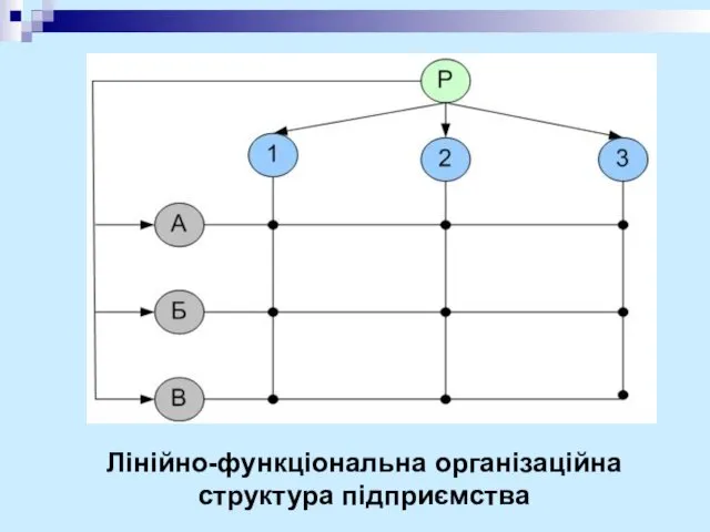 Лінійно-функціональна організаційна структура підприємства