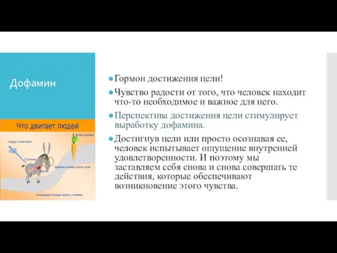 Дофамин Гормон достижения цели! Чувство радости от того, что человек