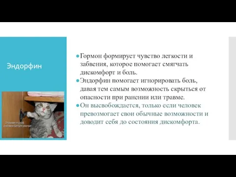 Эндорфин Гормон формирует чувство легкости и забвения, которое помогает смягчать