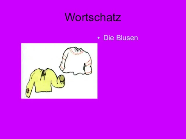 Wortschatz Die Blusen