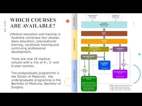 I WHICH COURSES ARE AVAILABLE? Medical education and training in