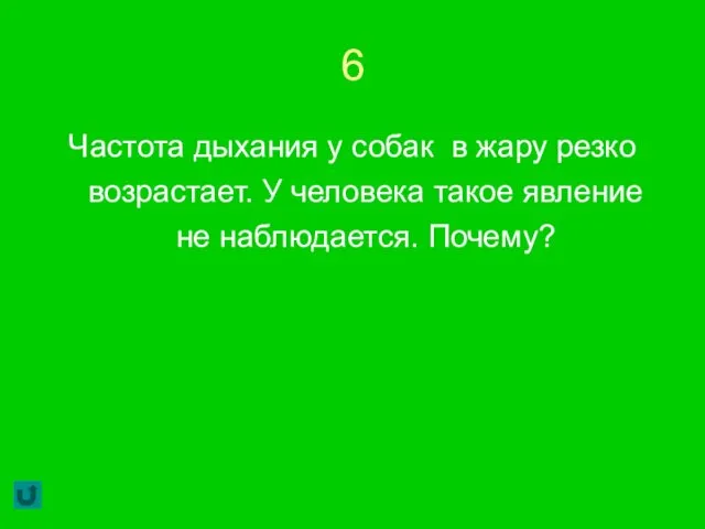 6 Частота дыхания у собак в жару резко возрастает. У человека такое явление не наблюдается. Почему?