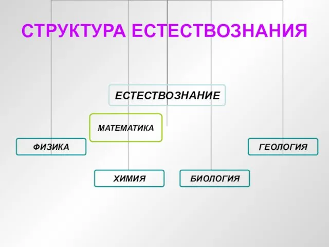 СТРУКТУРА ЕСТЕСТВОЗНАНИЯ