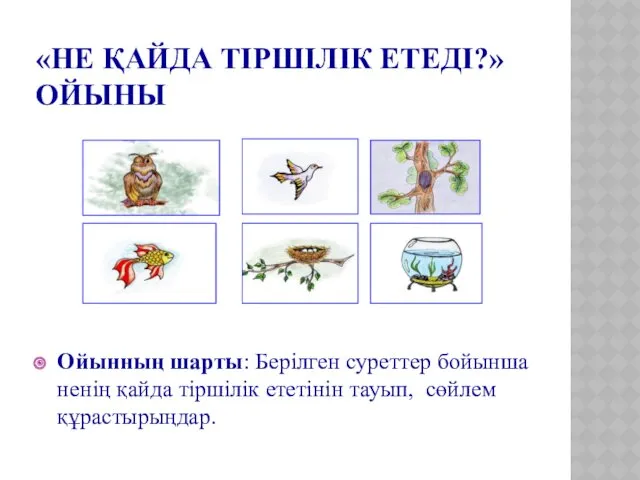 «НЕ ҚАЙДА ТІРШІЛІК ЕТЕДІ?» ОЙЫНЫ Ойынның шарты: Берілген суреттер бойынша