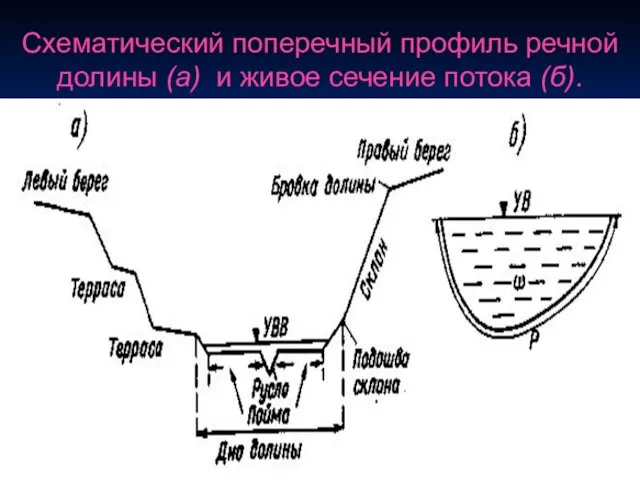 Схематический поперечный профиль речной долины (а) и живое сечение потока (б).