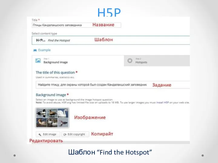 H5P Шаблон “Find the Hotspot”