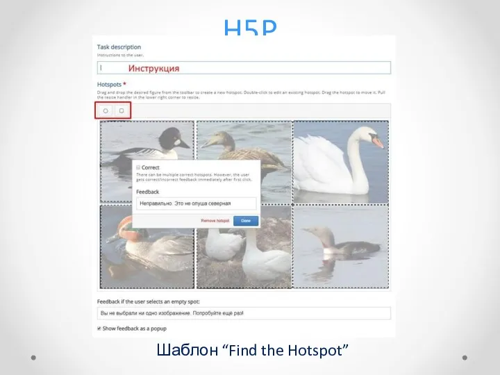 H5P Шаблон “Find the Hotspot”