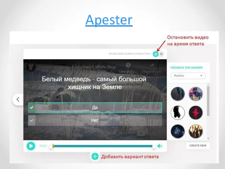 Apester Вопрос Ответ Ответ