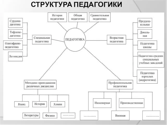 СТРУКТУРА ПЕДАГОГИКИ