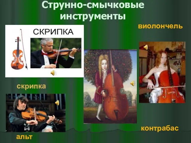 Струнно-смычковые инструменты контрабас альт виолончель скрипка