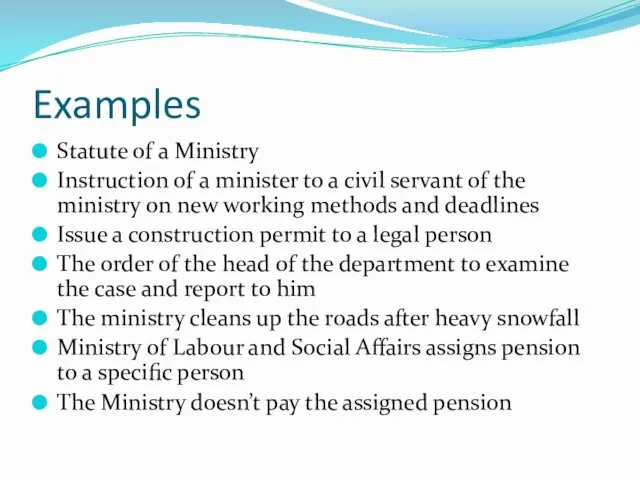 Examples Statute of a Ministry Instruction of a minister to