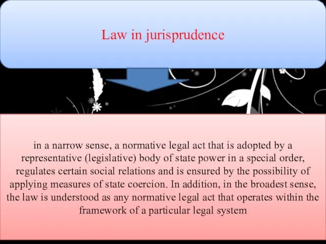 Law in jurisprudence in a narrow sense, a normative legal act that is