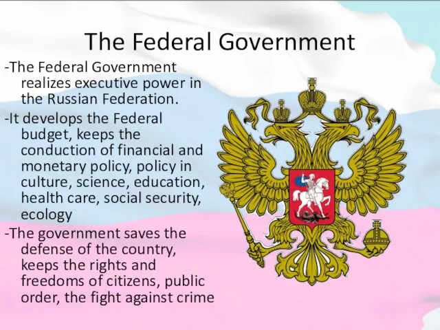 The Federal Government -The Federal Government realizes executive power in