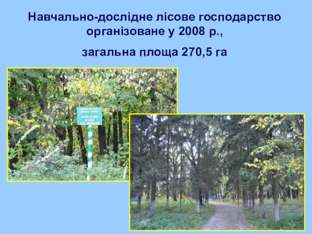 Навчально-дослідне лісове господарство організоване у 2008 р., загальна площа 270,5 га