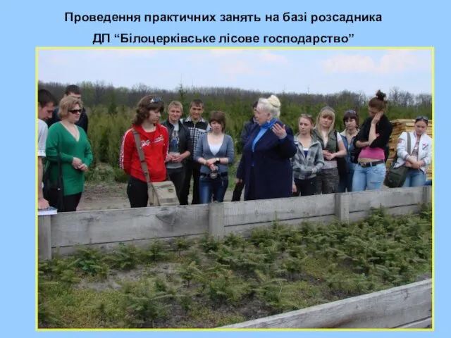 Проведення практичних занять на базі розсадника ДП “Білоцерківське лісове господарство”