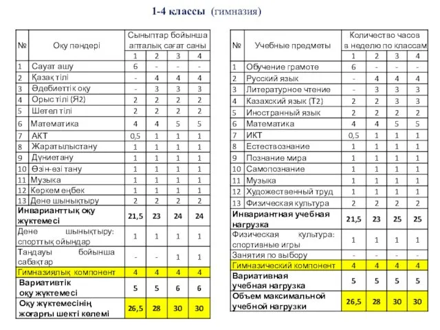 1-4 классы (гимназия)