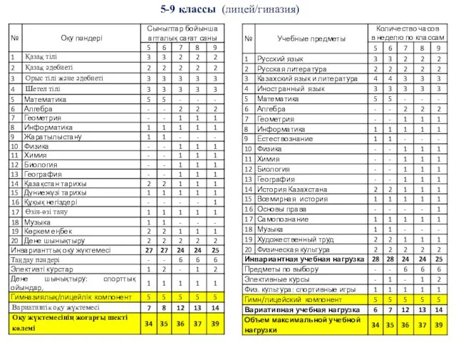 5-9 классы (лицей/гиназия)