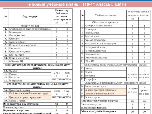 Типовые учебные планы (10-11 классы, ЕМН)