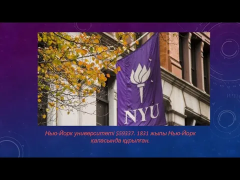 Нью-Йорк университеті $59337. 1831 жылы Нью-Йорк қаласында құрылған.