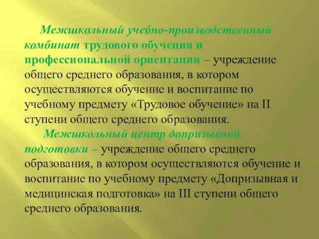 Межшкольный учебно-производственный комбинат трудового обучения и профессиональной ориентации – учреждение