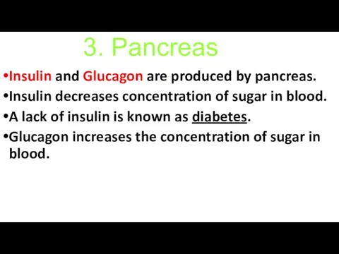 3. Pancreas Insulin and Glucagon are produced by pancreas. Insulin