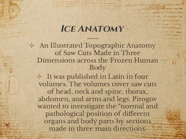 Ice Anatomy An Illustrated Topographic Anatomy of Saw Cuts Made