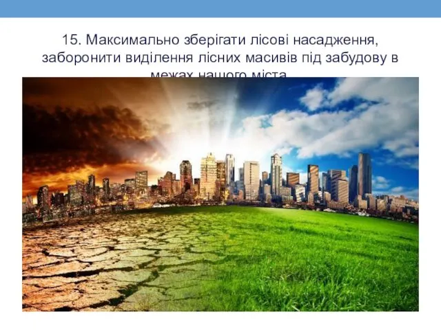 15. Максимально зберігати лісові насадження, заборонити виділення лісних масивів під забудову в межах нашого міста.