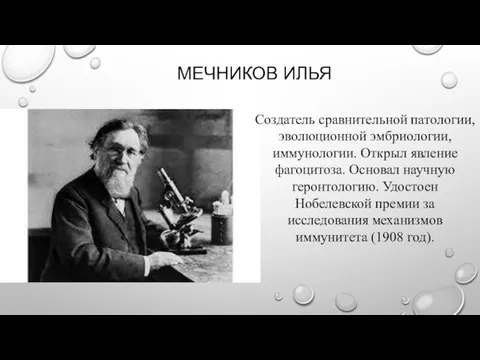 МЕЧНИКОВ ИЛЬЯ Создатель сравнительной патологии, эволюционной эмбриологии, иммунологии. Открыл явление