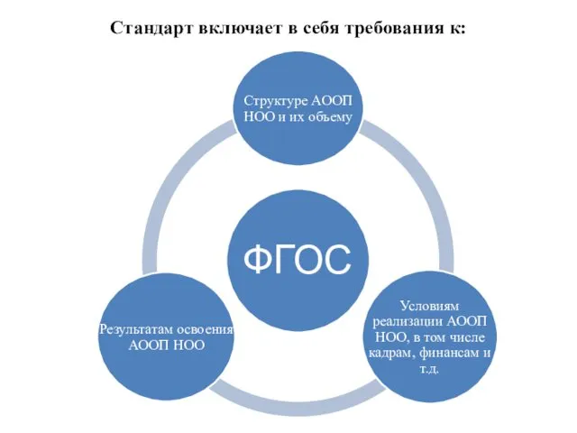 Стандарт включает в себя требования к: