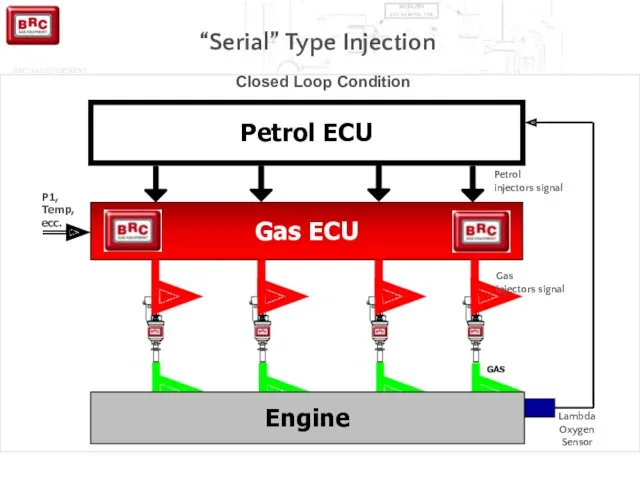 Petrol ECU Gas ECU P1, Temp, ecc. Lambda Oxygen Sensor