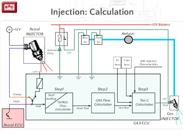 Injection: Calculation +12 V PETROL Flow Calculation Petrol INJECTOR +12V