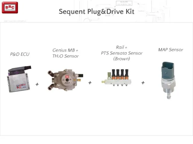 Sequent Plug&Drive Kit + + + P&D ECU Genius MB