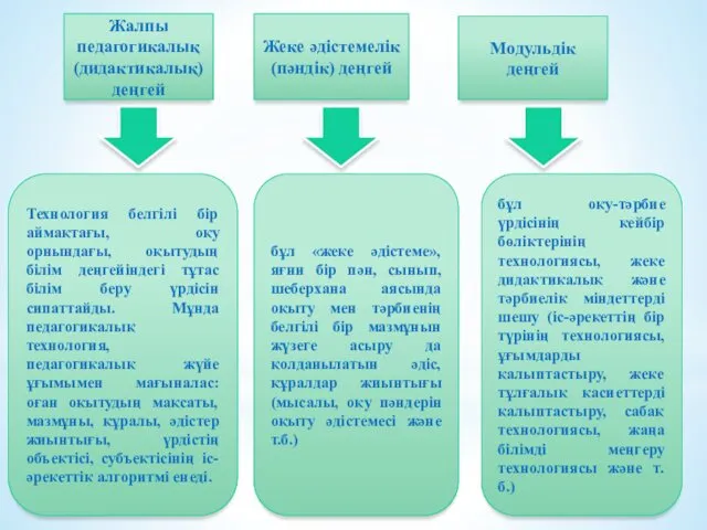 Жеке әдістемелік (пәндік) деңгей Модульдік деңгей Жалпы педагогикалық (дидактикалық) деңгей Технология белгілі бір